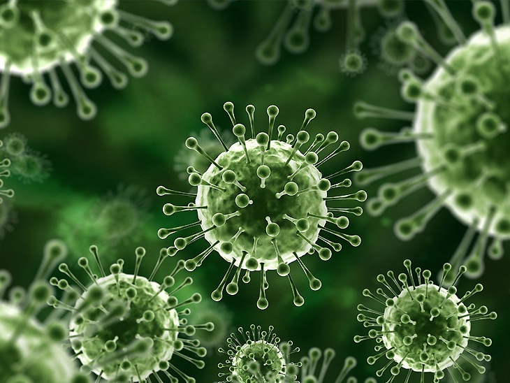 Nipah Virus: है बेहद खतरनाक, Covid 19 से 20 गुणा अधिक है खतरा, मौत के आंकड़े हो सकते हैं अधिक